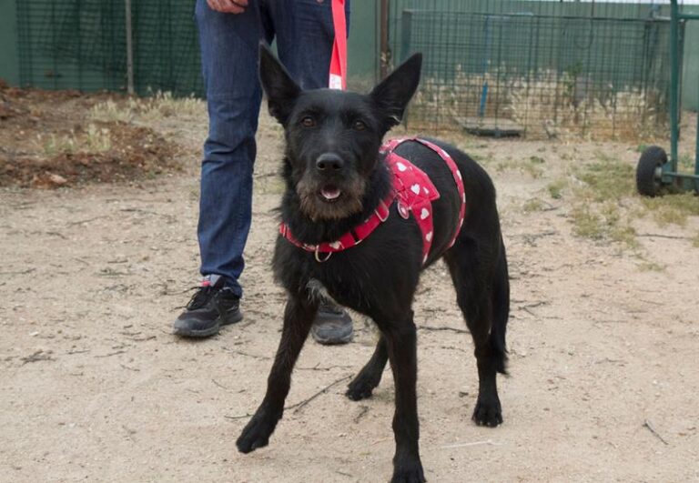 multimedia-foto59228-35-1