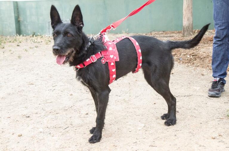 multimedia-foto59229-35-1