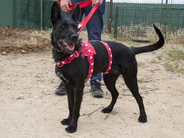 multimedia-foto59230-35-1