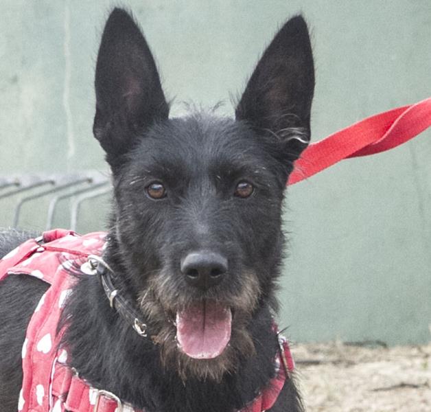 multimedia-foto59231-35-1