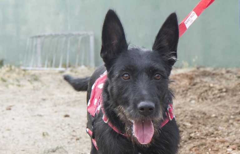 multimedia-foto59232-36-1