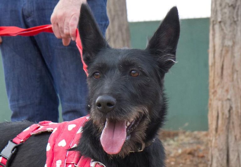 multimedia-foto59233-36-1