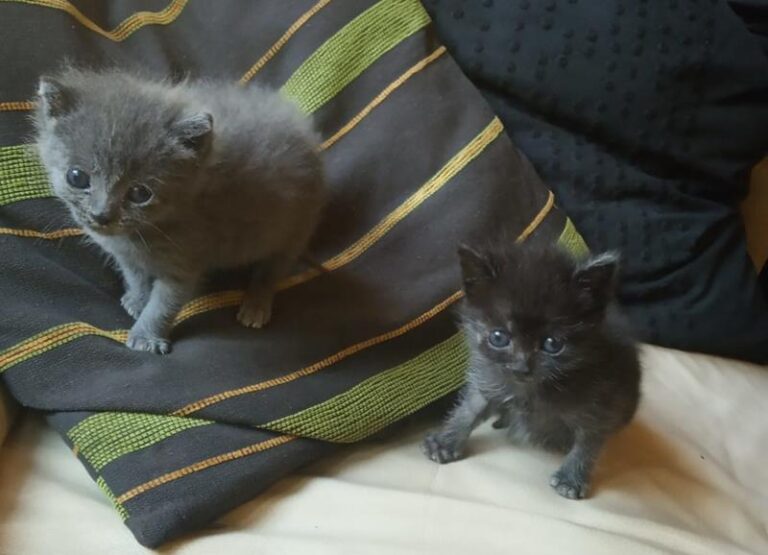 multimedia-foto59236-689-1