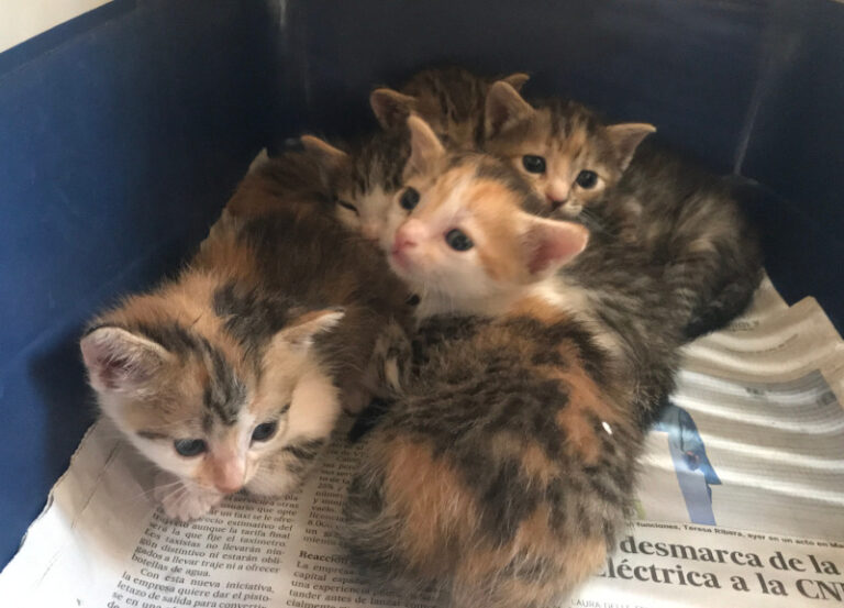 multimedia-foto59368-748-1