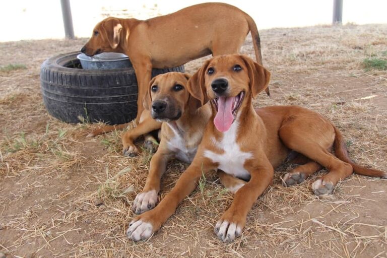 multimedia-foto59370-425-1