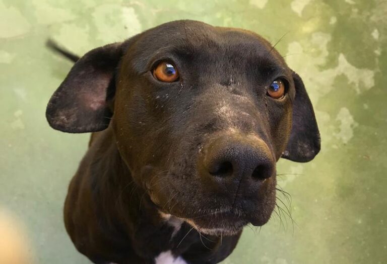 multimedia-foto59377-974-1