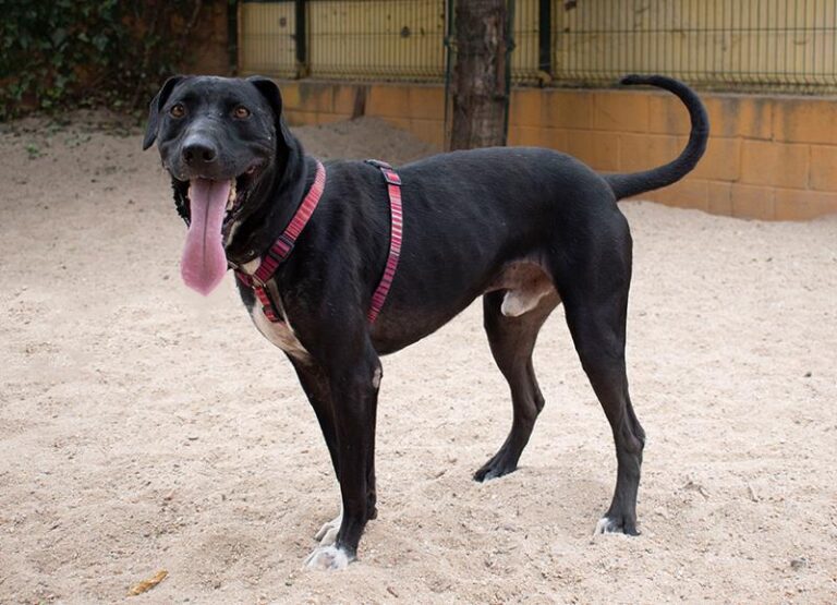 multimedia-foto59378-975-1