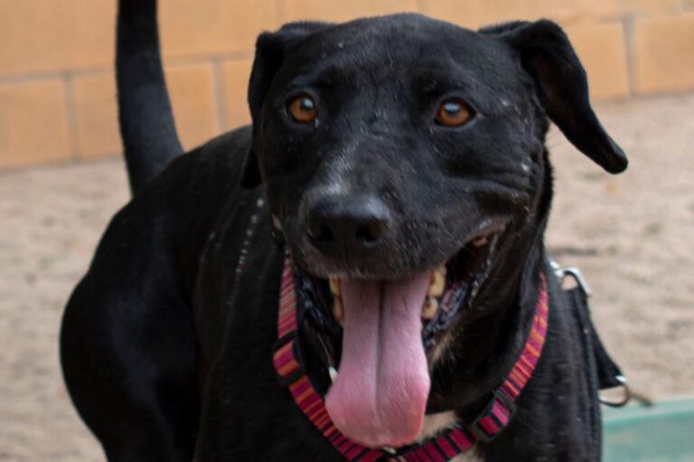 multimedia-foto59379-975-1