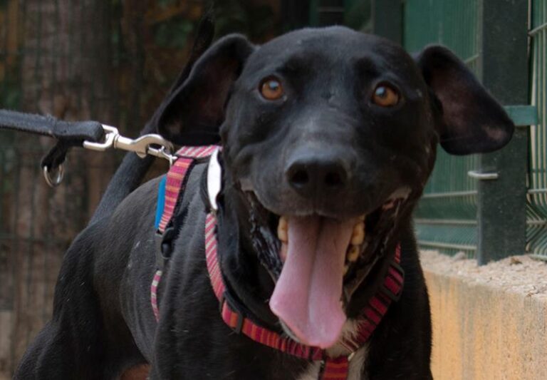 multimedia-foto59380-975-1