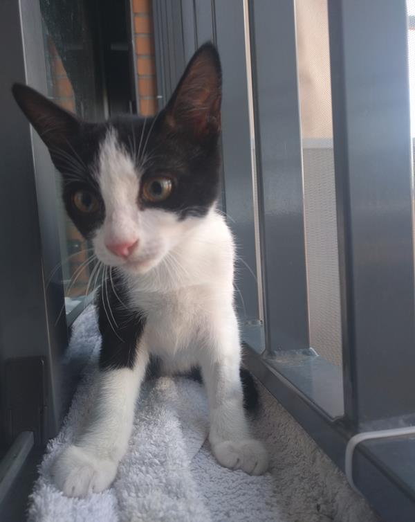 multimedia-foto59397-691-1