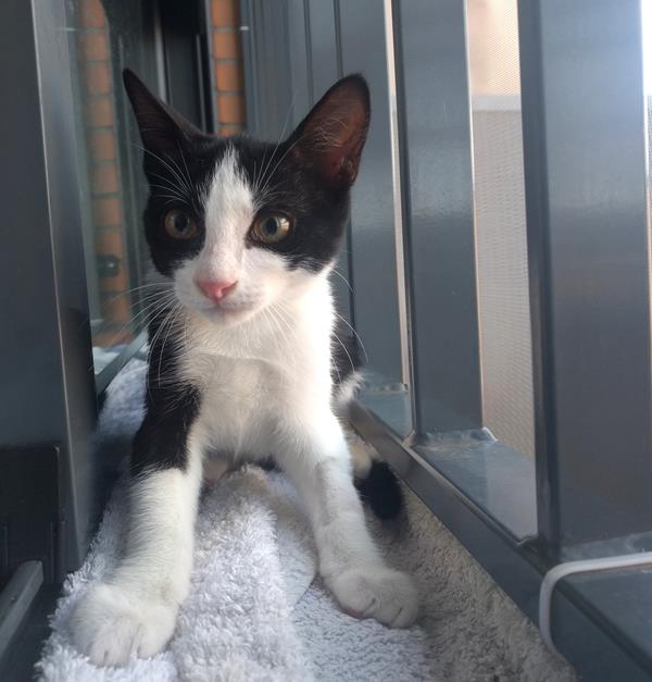 multimedia-foto59398-691-1