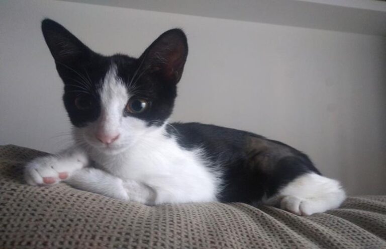 multimedia-foto59399-691-1