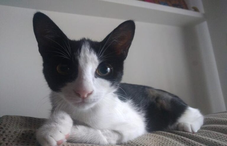 multimedia-foto59400-691-1