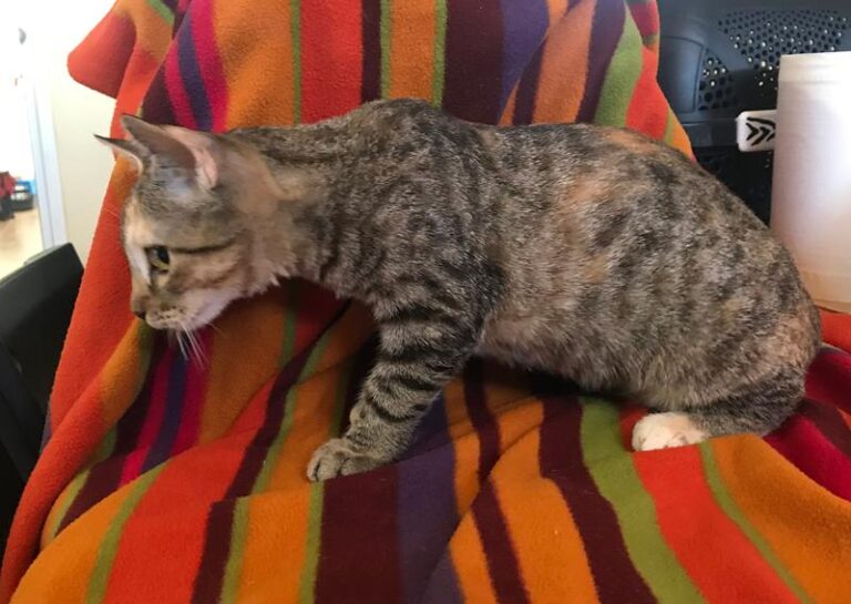 multimedia-foto59416-735-1