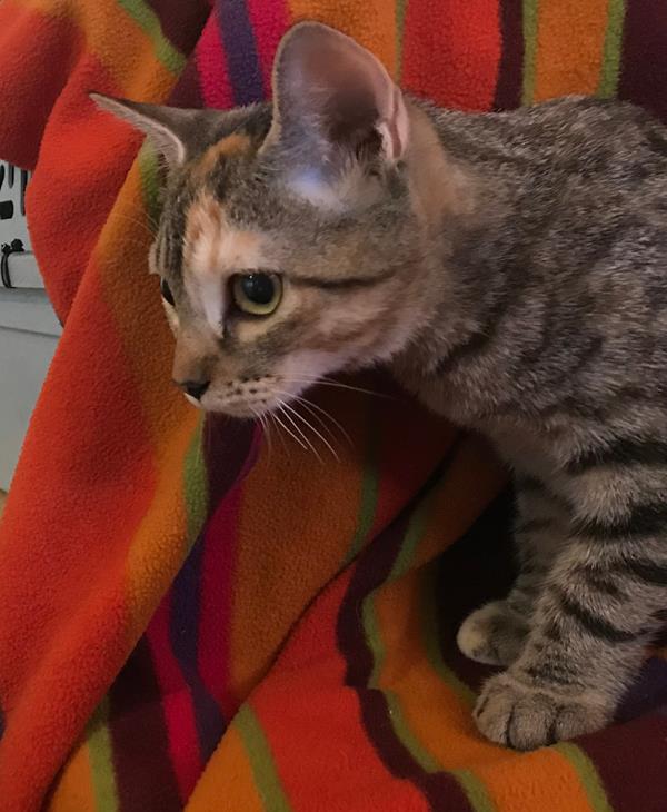 multimedia-foto59417-735-1