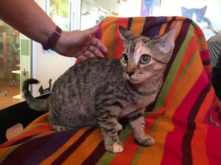 multimedia-foto59420-735-1