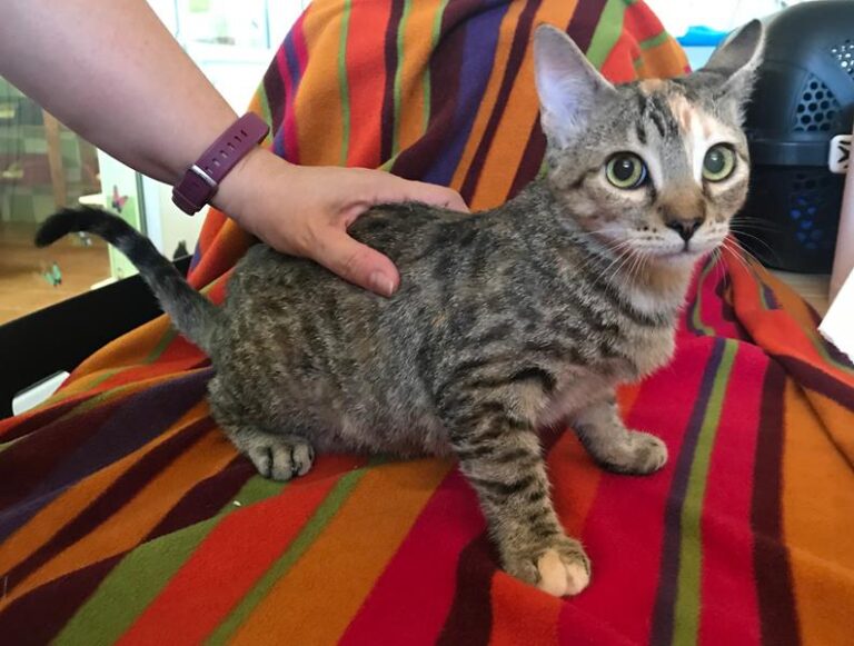 multimedia-foto59421-735-1