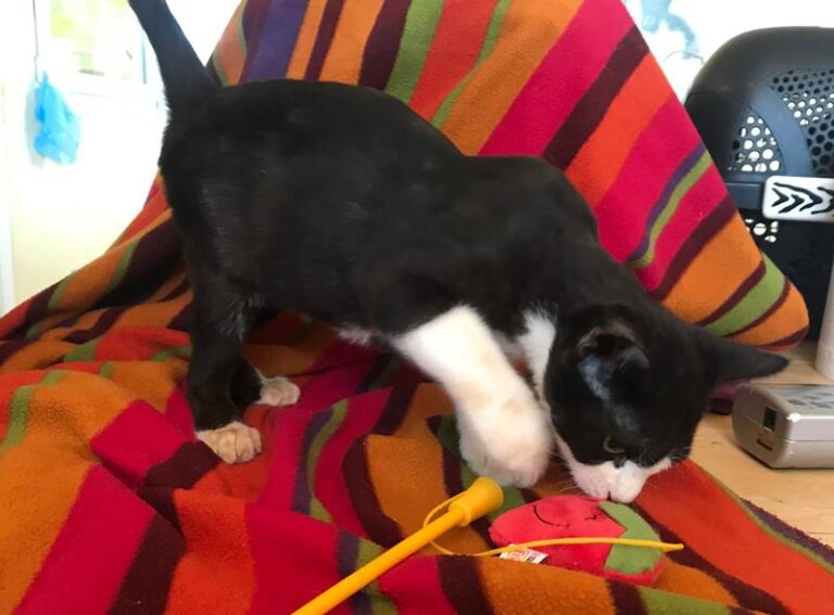 multimedia-foto59422-799-1