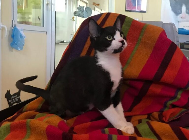 multimedia-foto59423-799-1