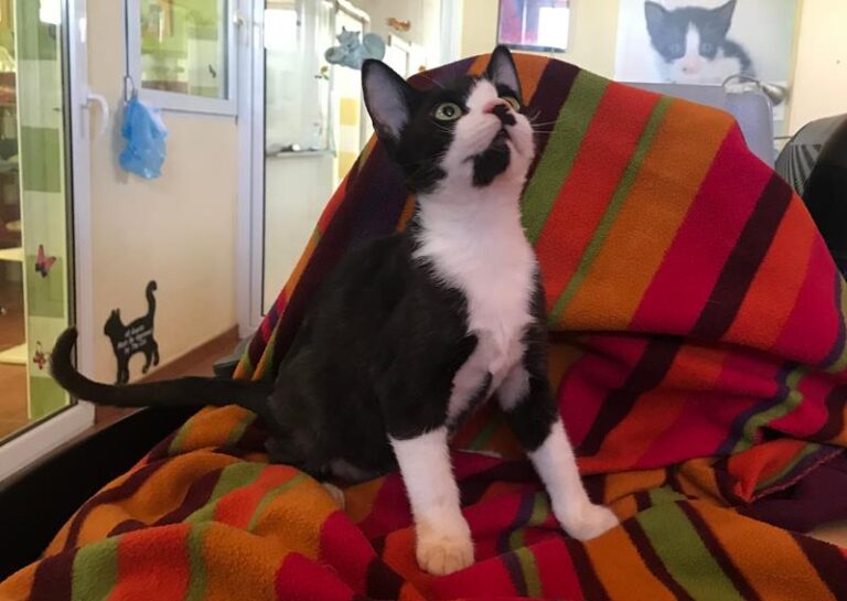 multimedia-foto59424-800-1