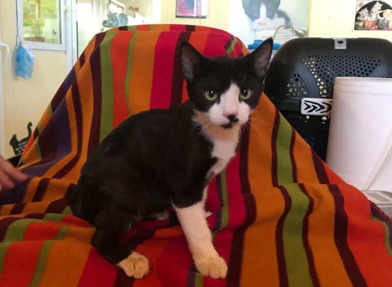 multimedia-foto59426-800-1