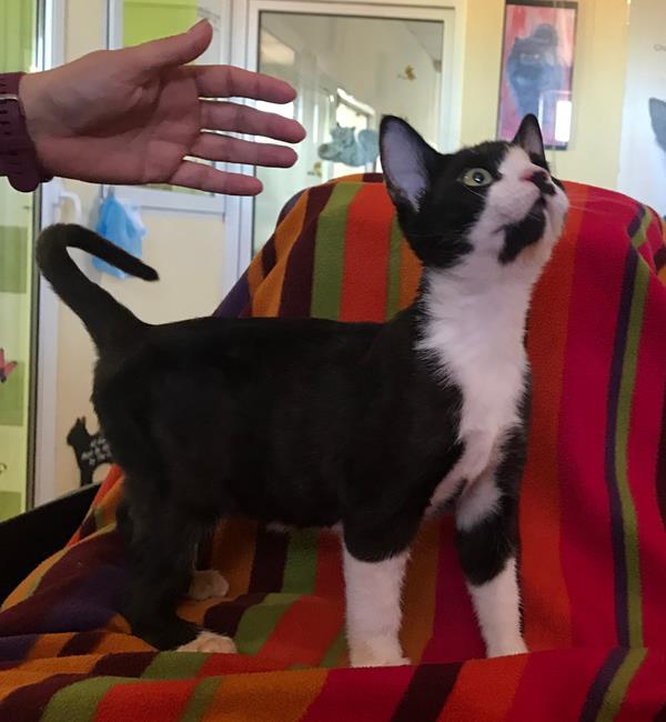 multimedia-foto59427-800-1