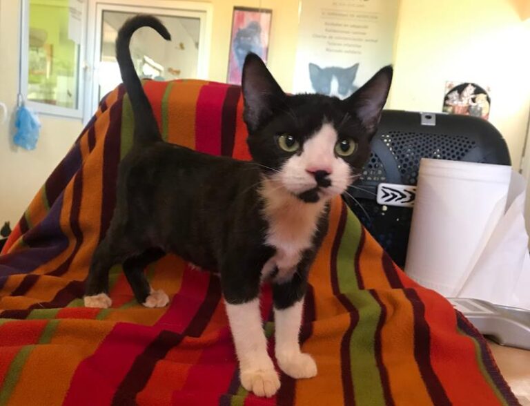 multimedia-foto59428-800-1