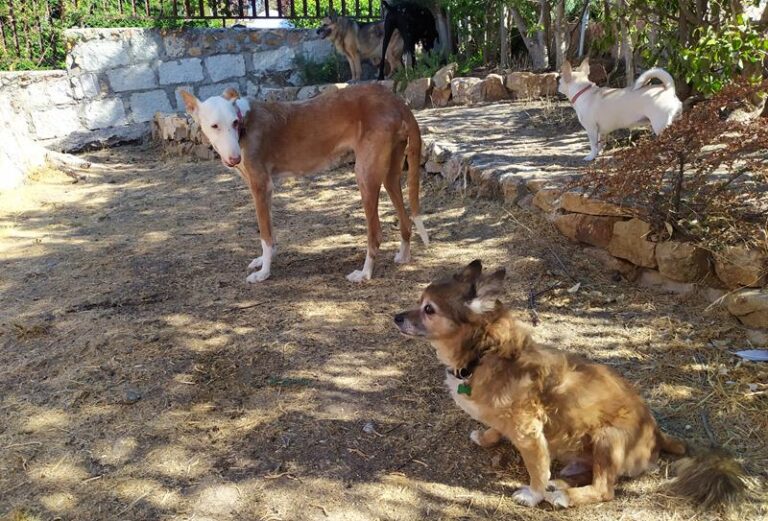 multimedia-foto59443-206-1