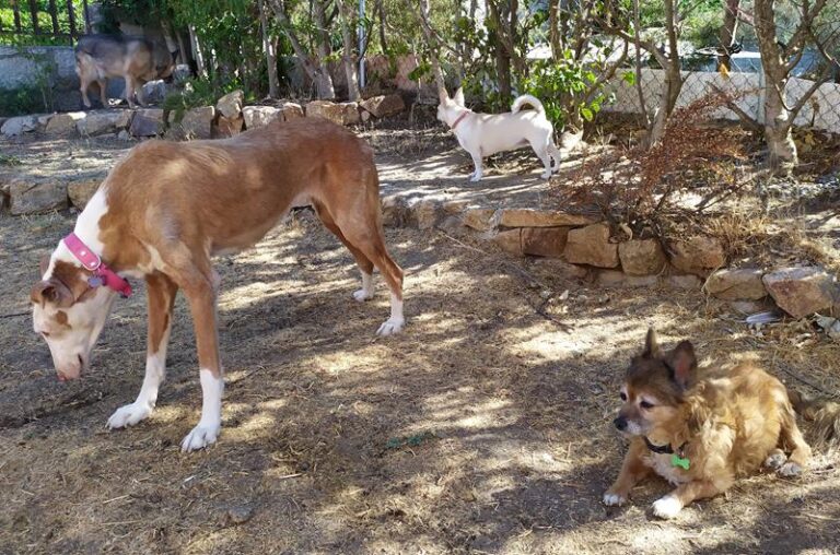 multimedia-foto59444-206-1