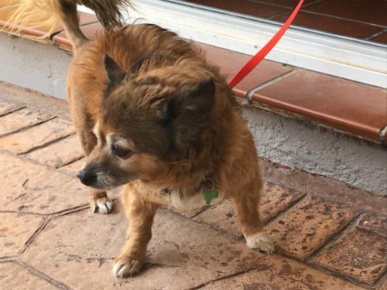 multimedia-foto59445-206-1