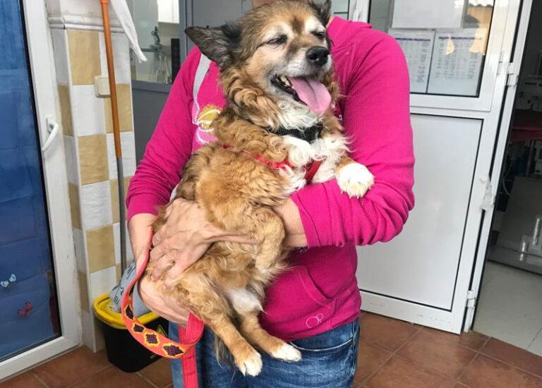 multimedia-foto59446-206-1