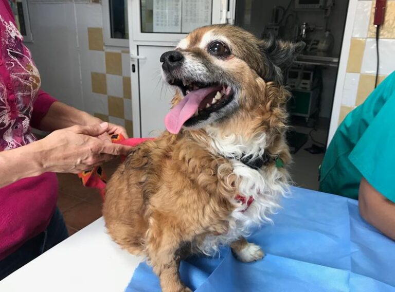 multimedia-foto59447-206-1