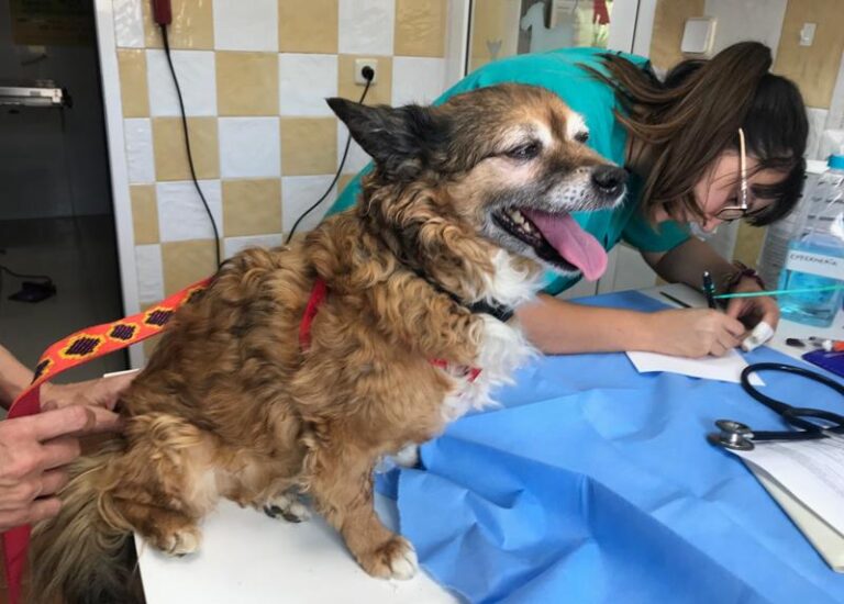 multimedia-foto59448-206-1