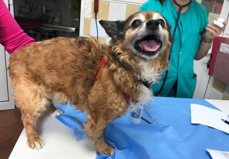 multimedia-foto59450-207-1