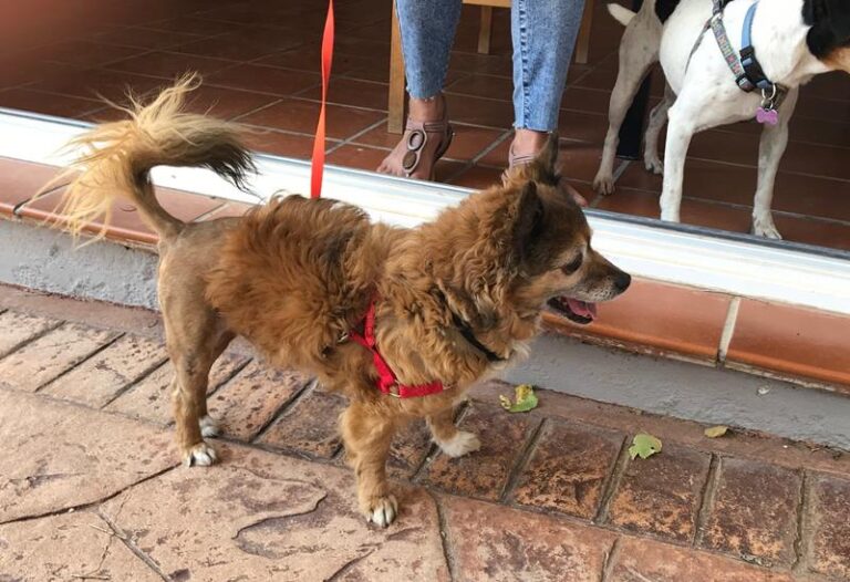 multimedia-foto59451-207-1