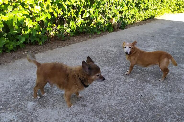 multimedia-foto59452-207-1