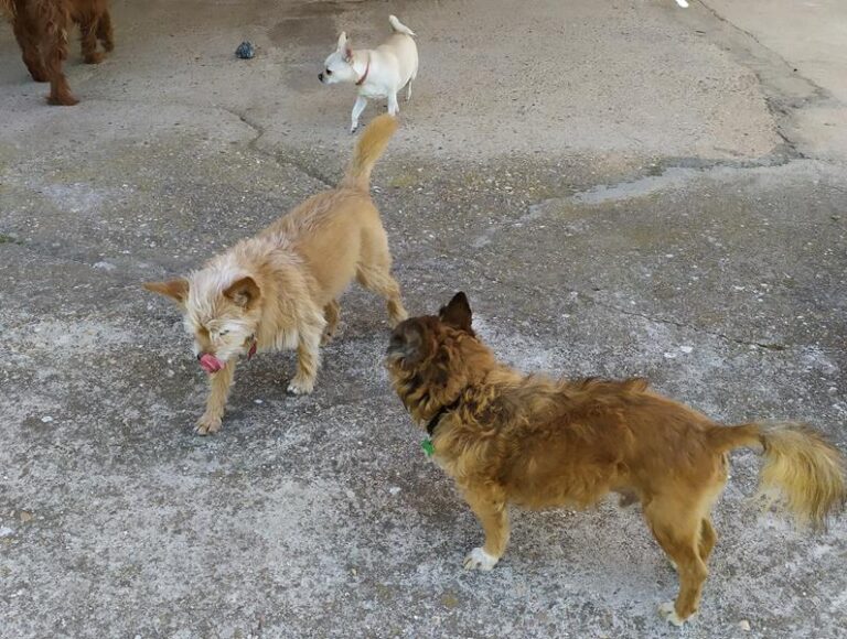 multimedia-foto59453-207-1