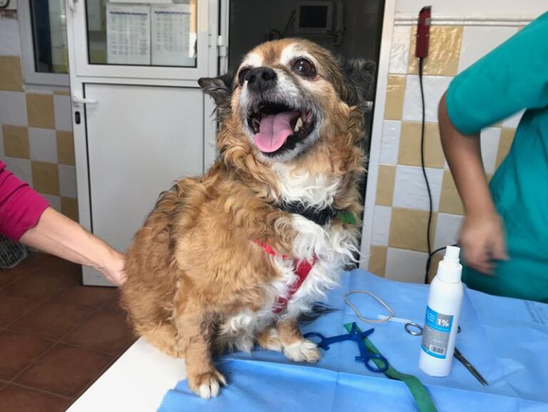 multimedia-foto59454-207-1