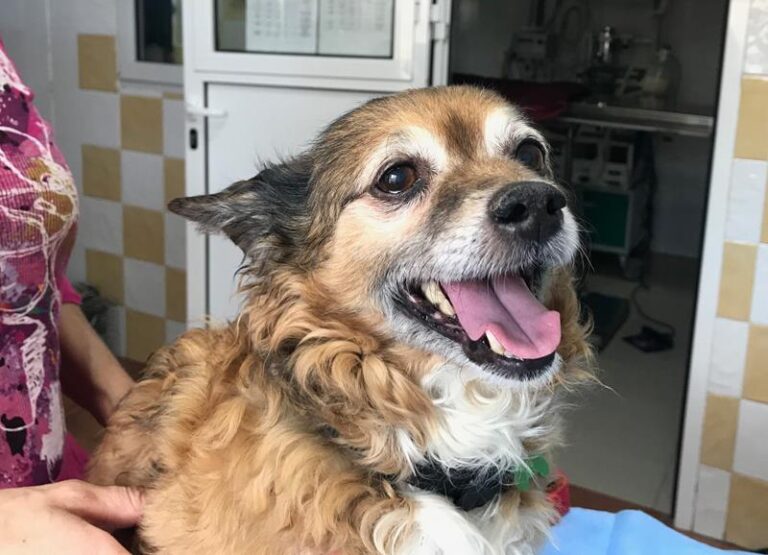 multimedia-foto59455-208-1