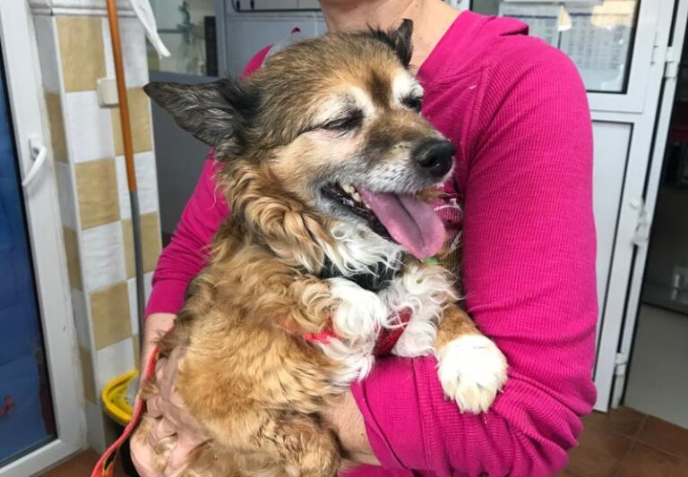 multimedia-foto59456-208-1