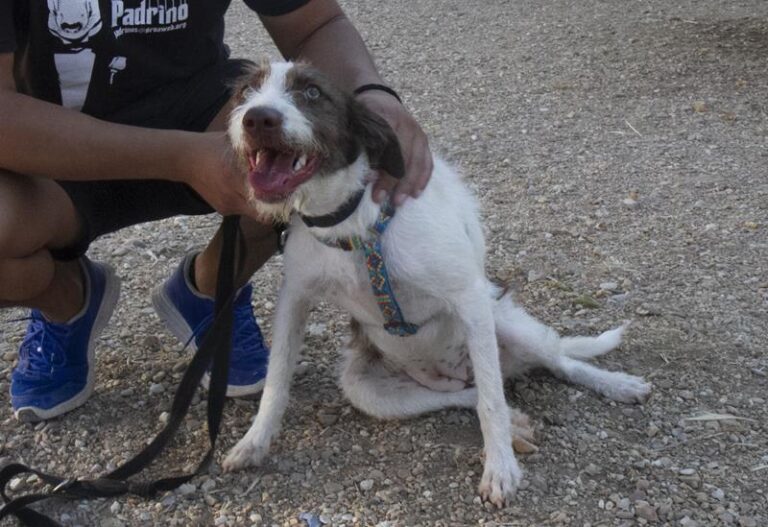 multimedia-foto59540-565-1