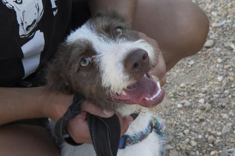 multimedia-foto59541-565-1