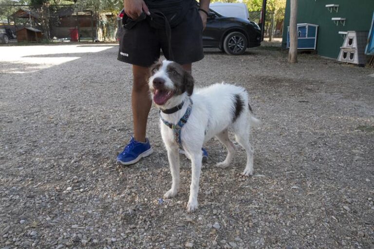 multimedia-foto59542-565-1