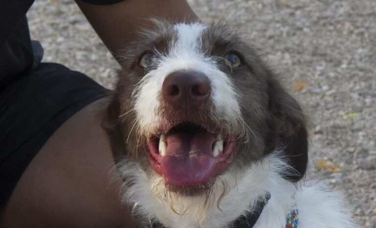 multimedia-foto59543-565-1