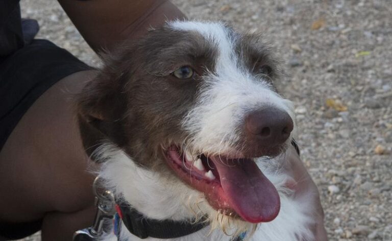 multimedia-foto59544-565-1