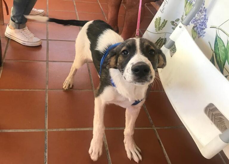 multimedia-foto59570-336-1