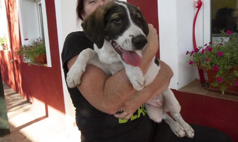 multimedia-foto59571-336-1