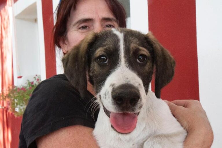 multimedia-foto59572-337-1