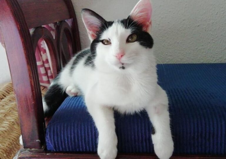 multimedia-foto59573-695-1