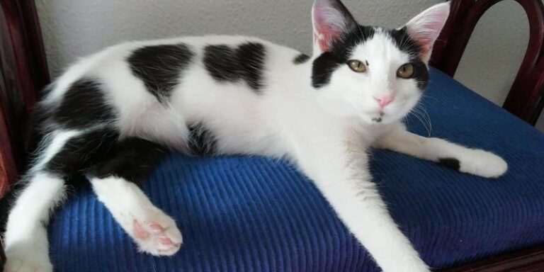 multimedia-foto59576-695-1